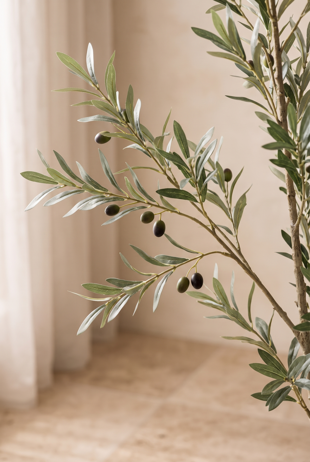 Ramas de olivo con aceitunas en un salón mediterráneo