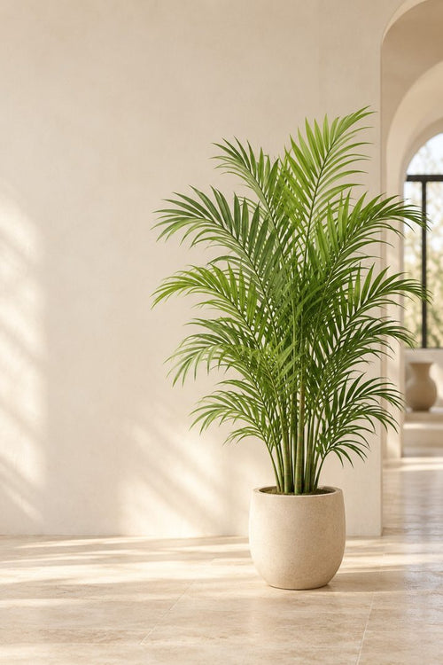 Arecana, palmera areca artificial de 150 cm